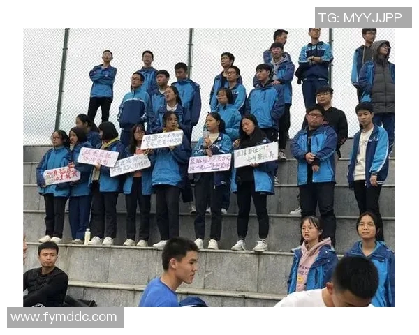 杭州排球队选拔赛特别报道：奋勇拼搏铸就辉煌突破之路